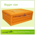 Leon Самое популярное судно для перевозки цыплят на продажу